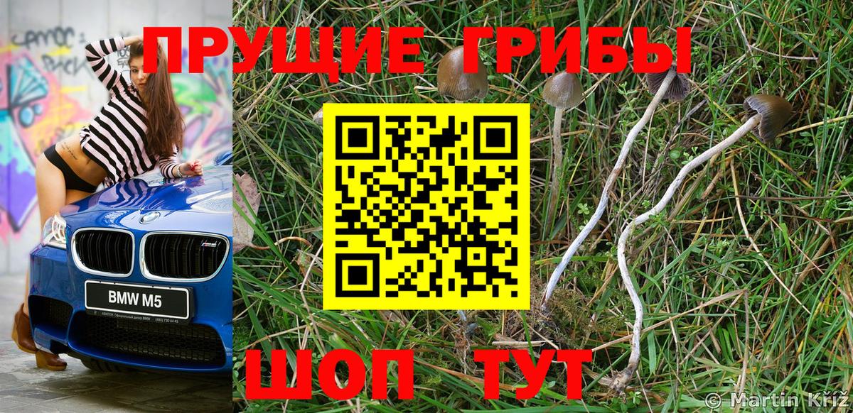 Галлюциногенные грибы ЛСД  Вход с VPN  Галлюциногенные грибы Cubensis  Лыткарино 